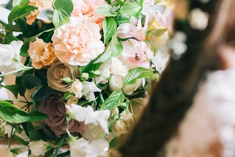 Lilas Wood — photo 4