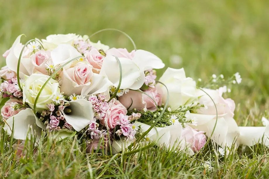 Passion Foto — photo 7