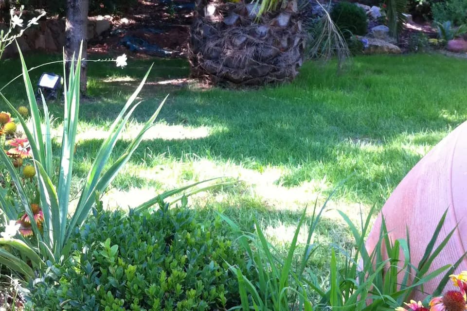 Le Verger Des Kouros — photo 5