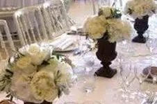 Angelus Organisation — photo 4