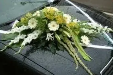 Angelus Organisation — photo 8