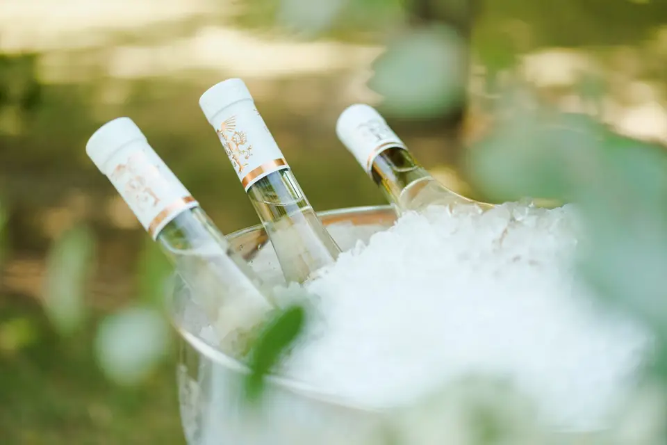 Gaël & Lucie — photo 6