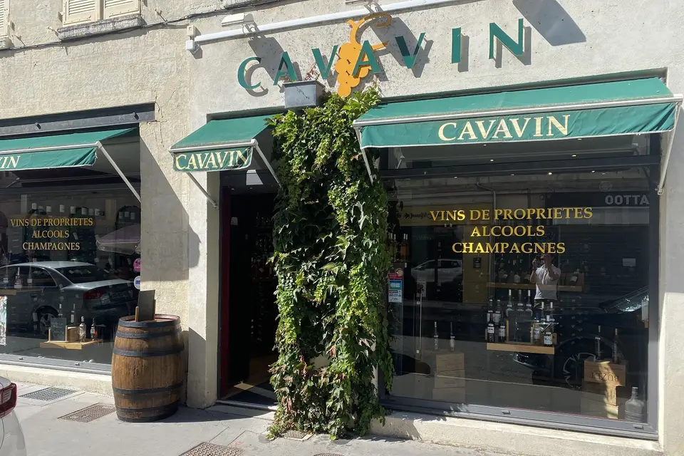 Cavavin — photo 1