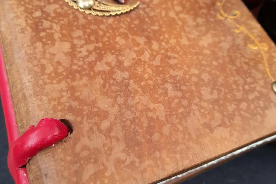 Enigmoov — photo 8