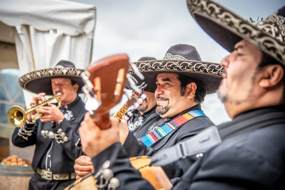 Vincent Baudouin — photo 7