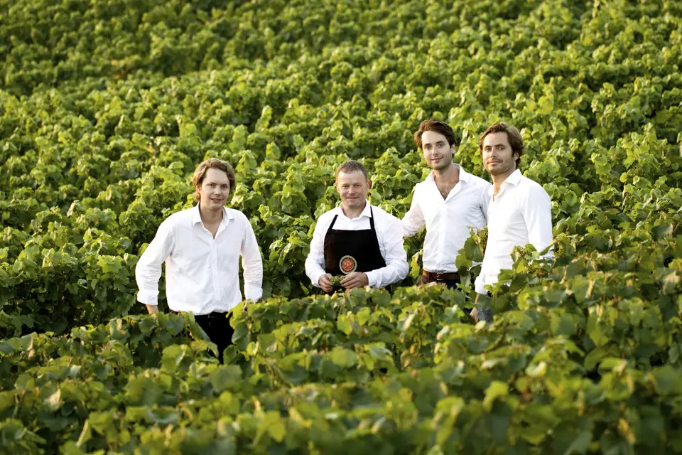 Champagne Frerejean Frères — photo 8