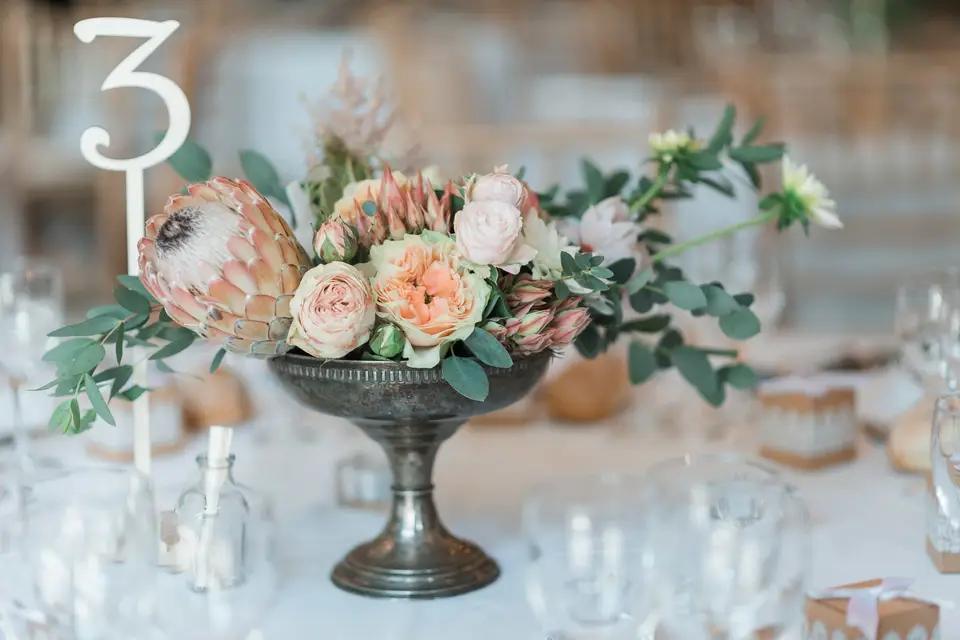 Menthe Sauvage — photo 8