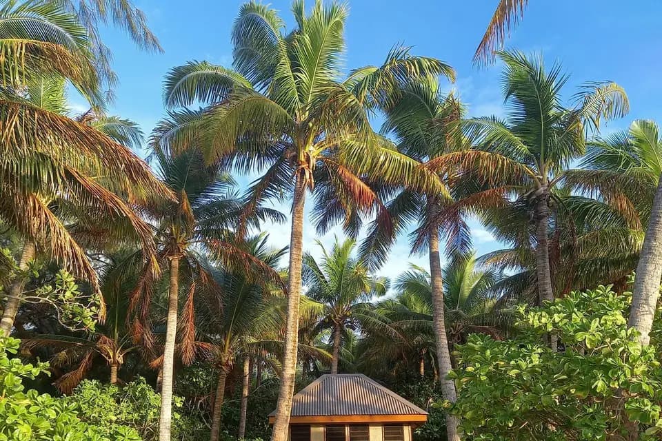 Vinaka Voyage — photo 5