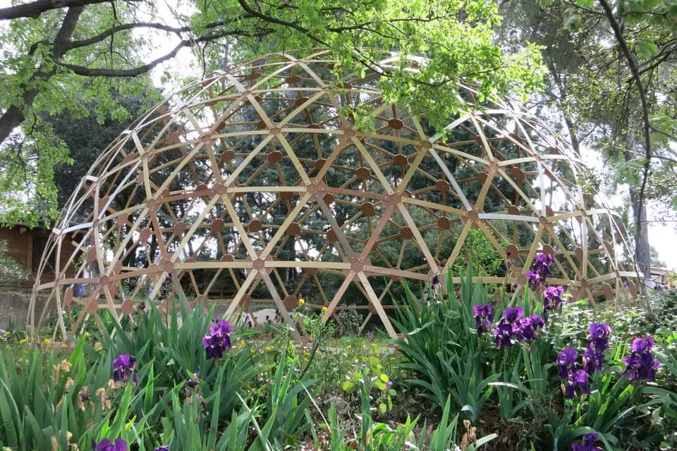 Molinari — photo 5