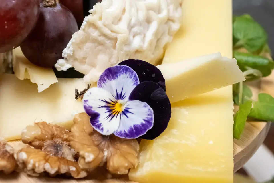 Coquin de sort — photo 4