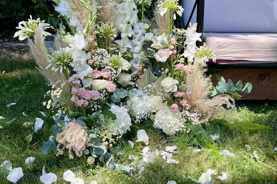 Pigne & Mimosa — photo 2