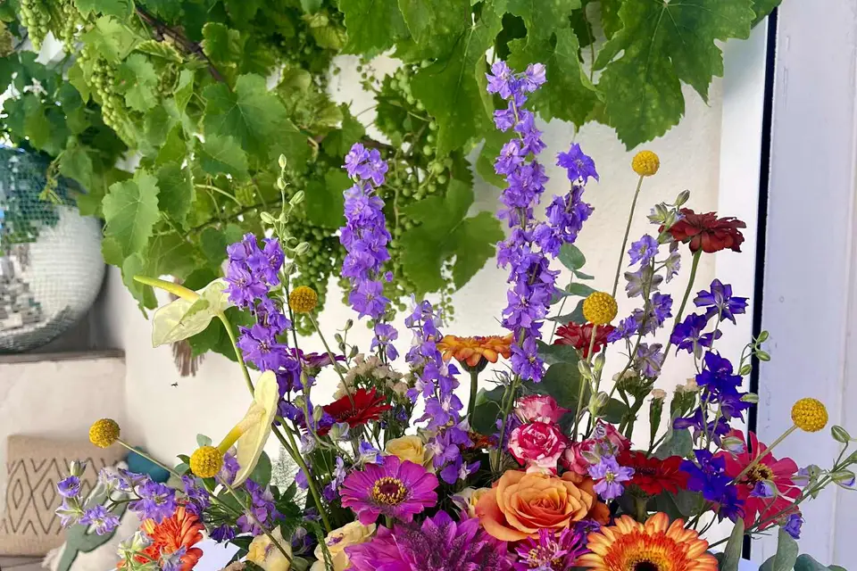 Pigne & Mimosa — photo 8