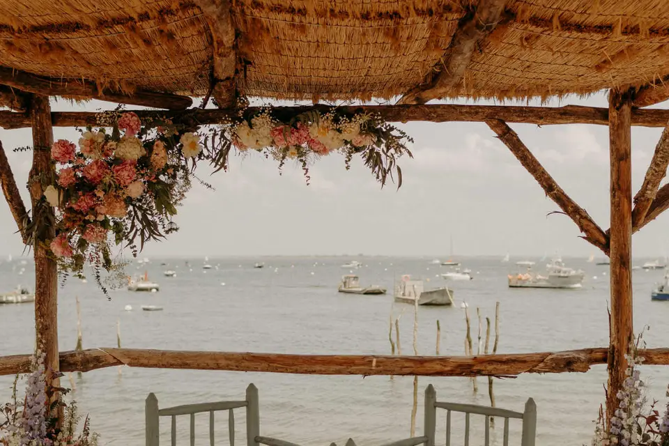 Pigne & Mimosa — photo 1