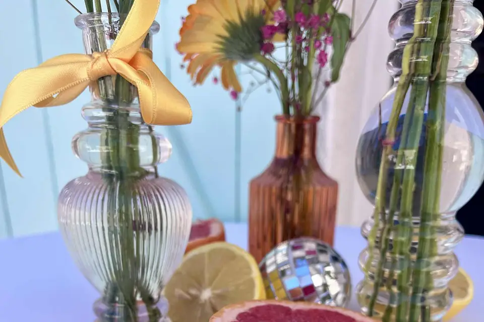 Pigne & Mimosa — photo 7