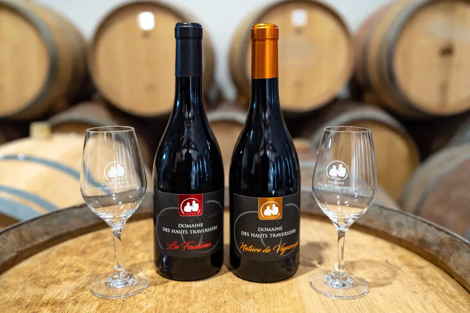 Domaine des Hauts Traversiers — photo 7