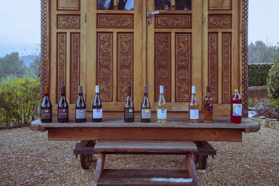 Domaine des Hauts Traversiers — photo 6