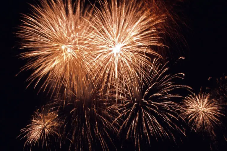 ACDF - Au Coeur de la Fête — photo 2