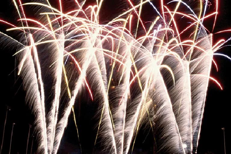 ACDF - Au Coeur de la Fête — photo 6