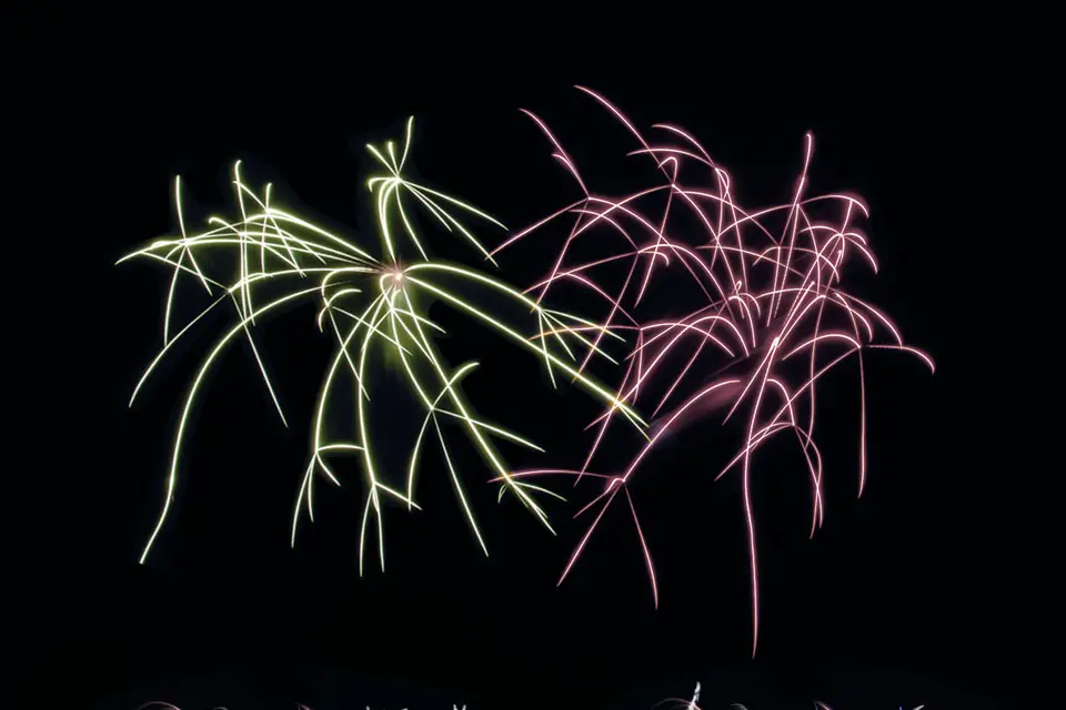 ACDF - Au Coeur de la Fête — photo 7