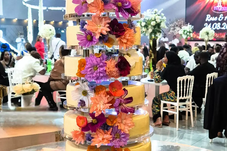 Afipapilles — photo 7