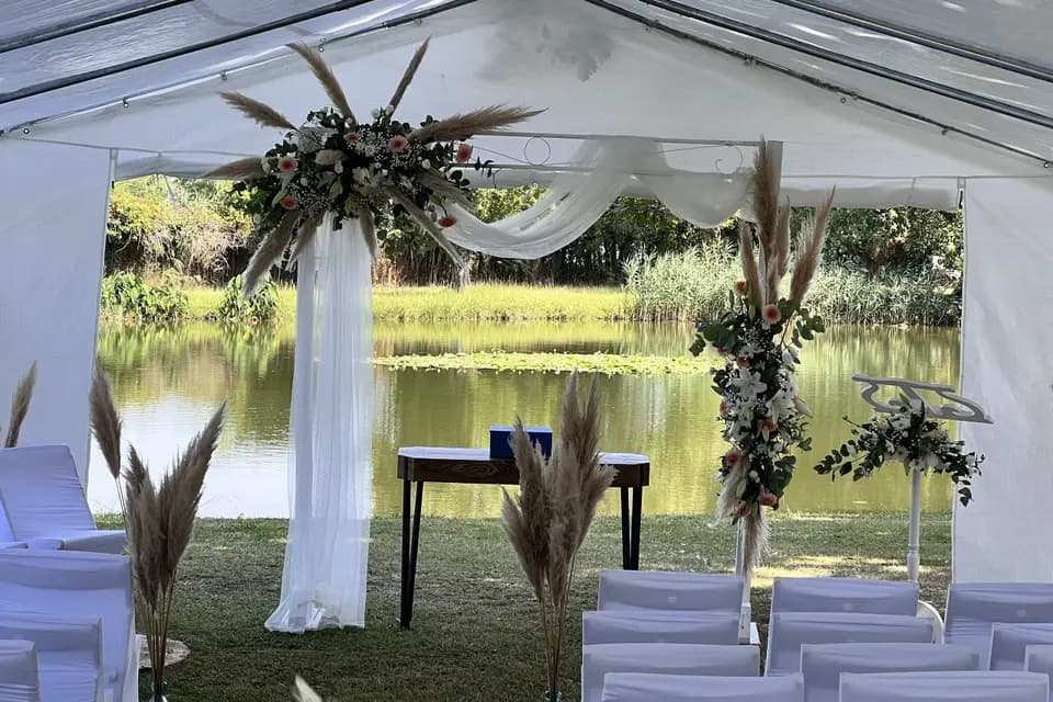 Le Renaissance — photo 1