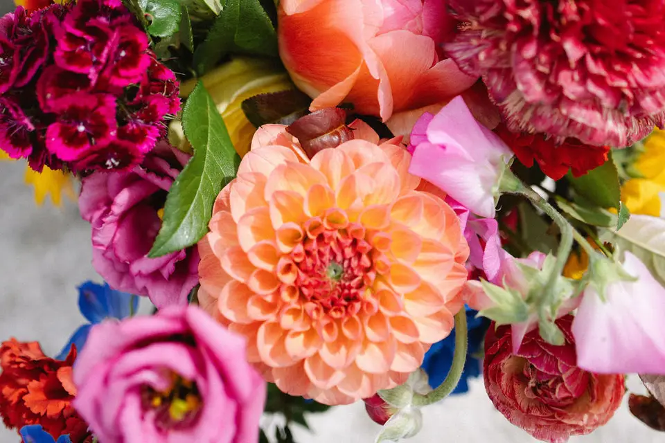 Yule en été — photo 4