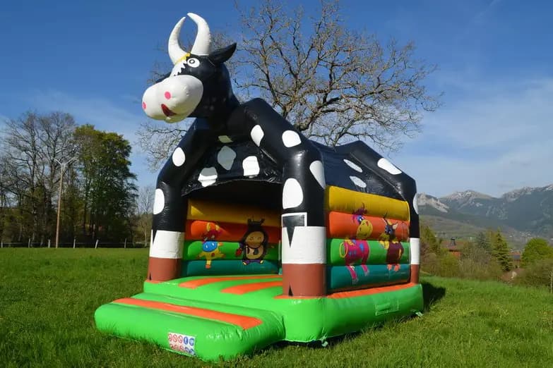 Festi'Chablais — photo 7