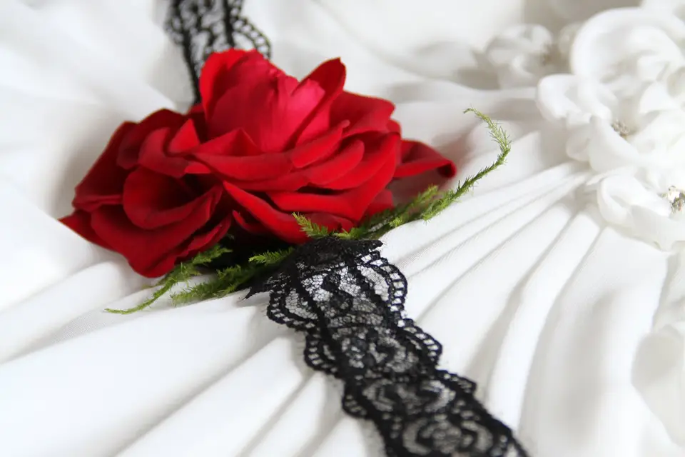 Alicia Saccavino — photo 1