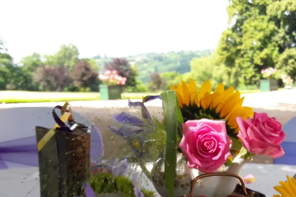 Viviane Fleurs — photo 8