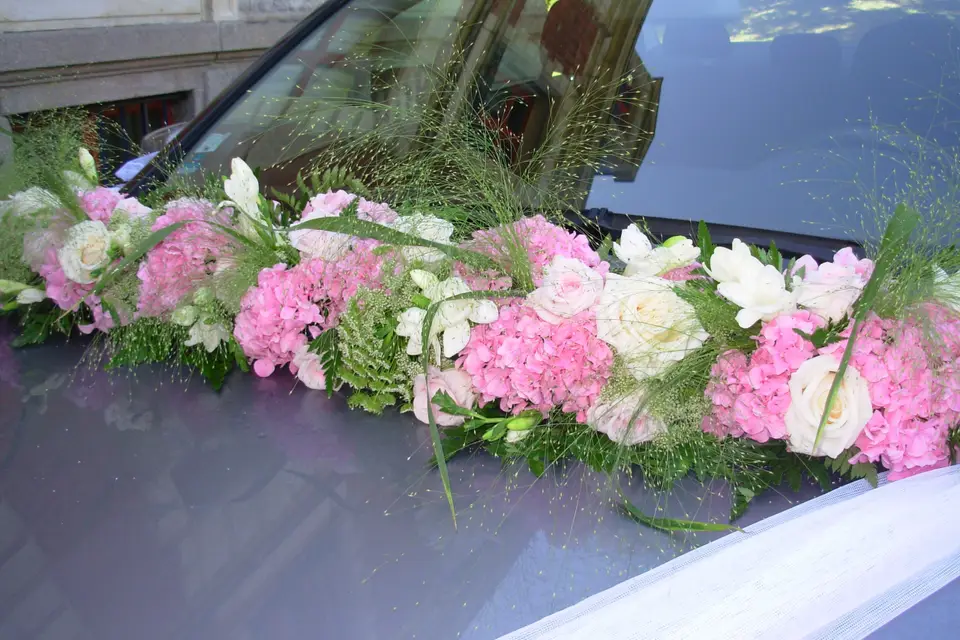 Viviane Fleurs — photo 3