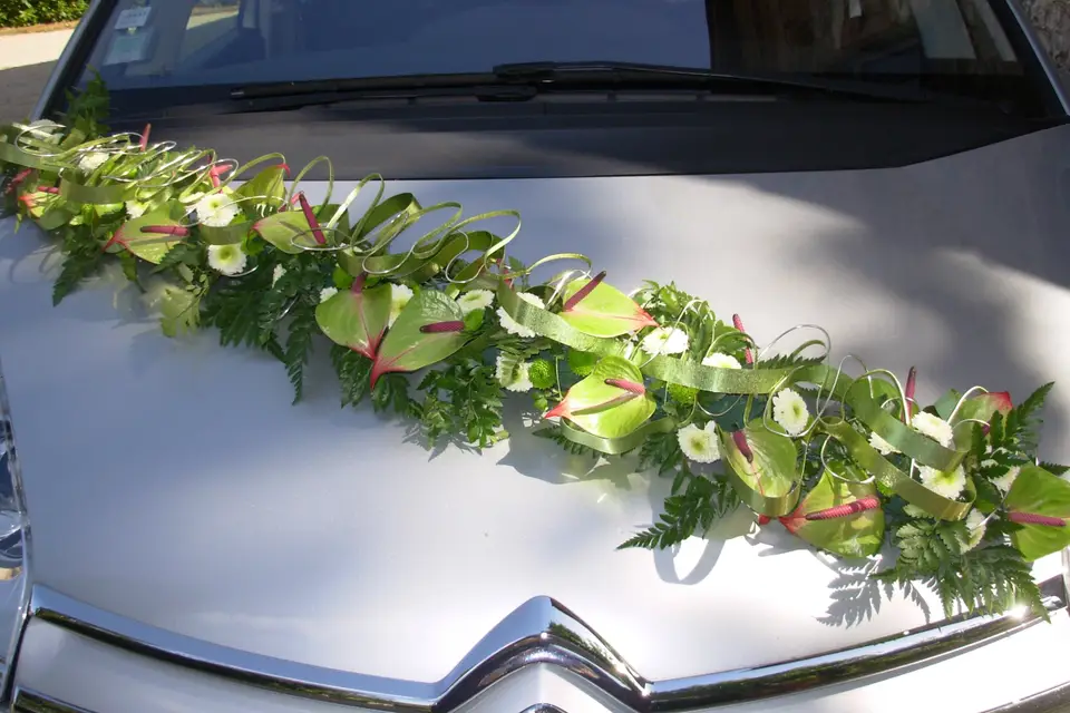 Viviane Fleurs — photo 7