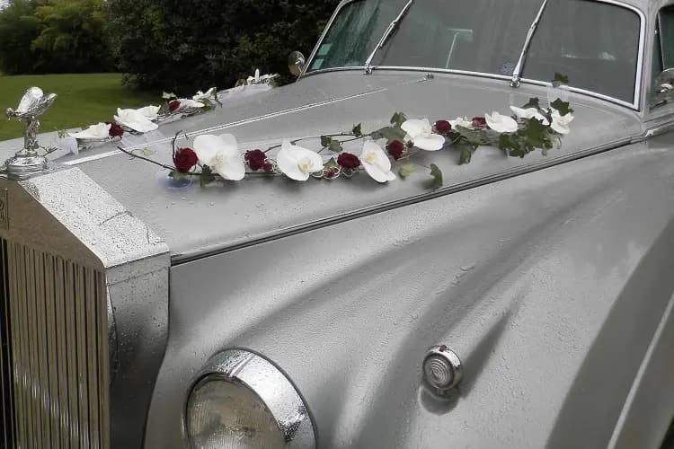 Viviane Fleurs — photo 9