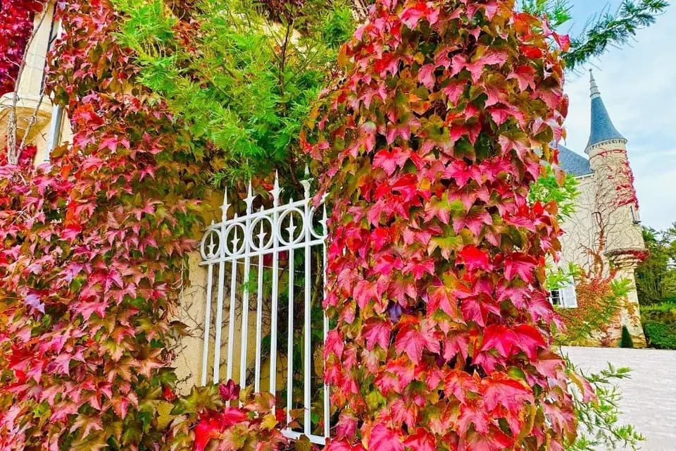 Domaine du Grand Vernay — photo 2