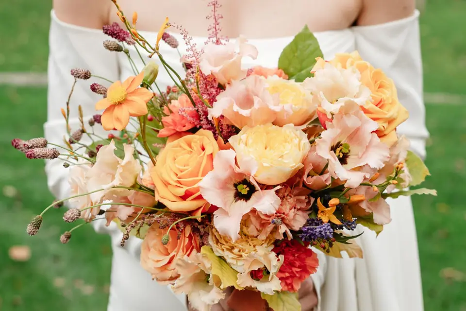 Les fougères brunes — photo 3