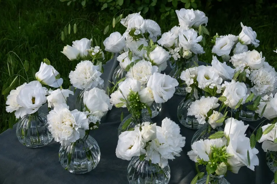 Les fougères brunes — photo 4