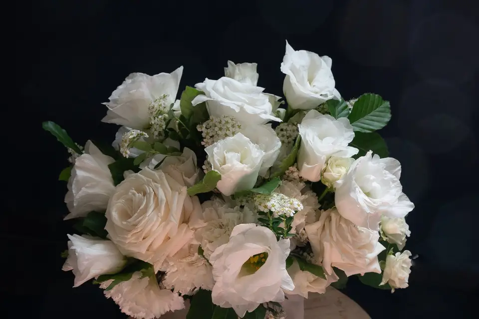 Les fougères brunes — photo 5