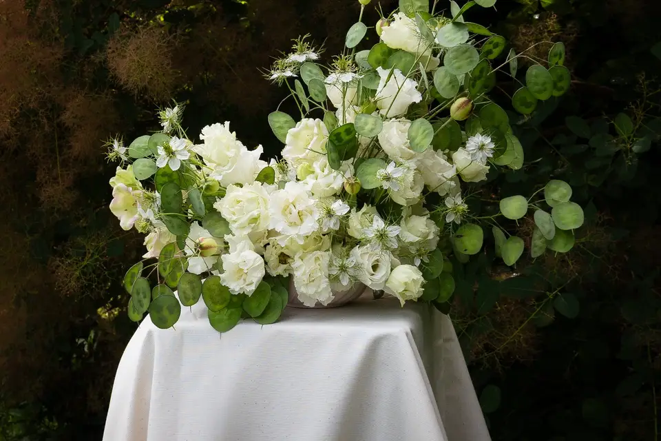 Les fougères brunes — photo 7