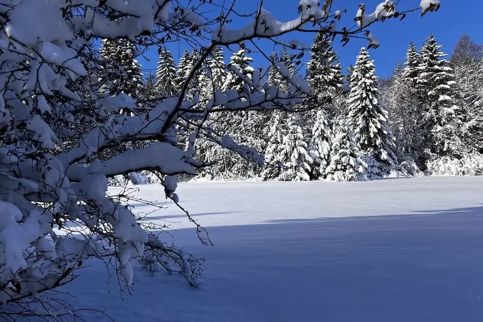 Pre-Jeantet — photo 8