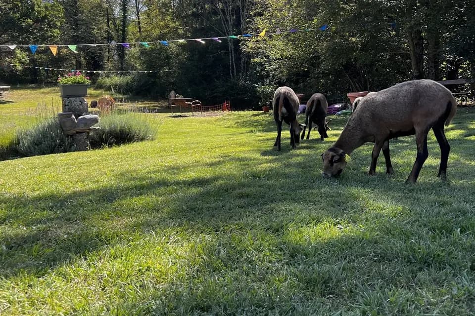 Pre-Jeantet — photo 7