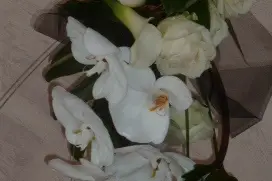 Les Pots d'Anne — photo 1