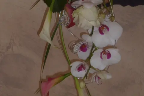 Les Pots d'Anne — photo 5