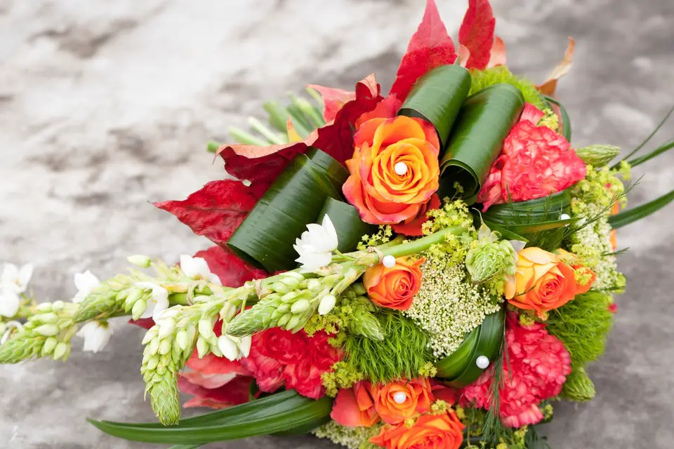 Vert Tige — photo 6