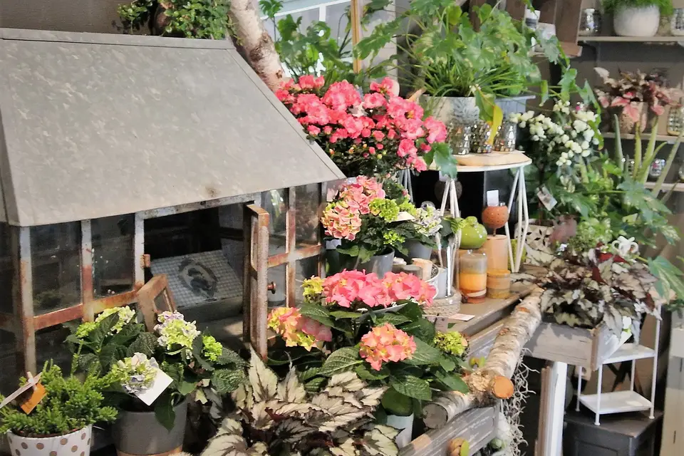 Vert Tige — photo 1