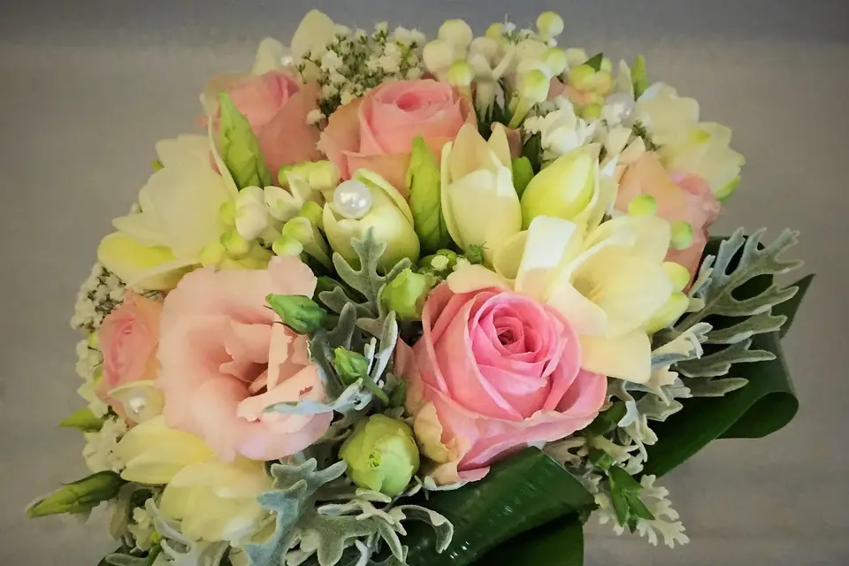 Vert Tige — photo 2