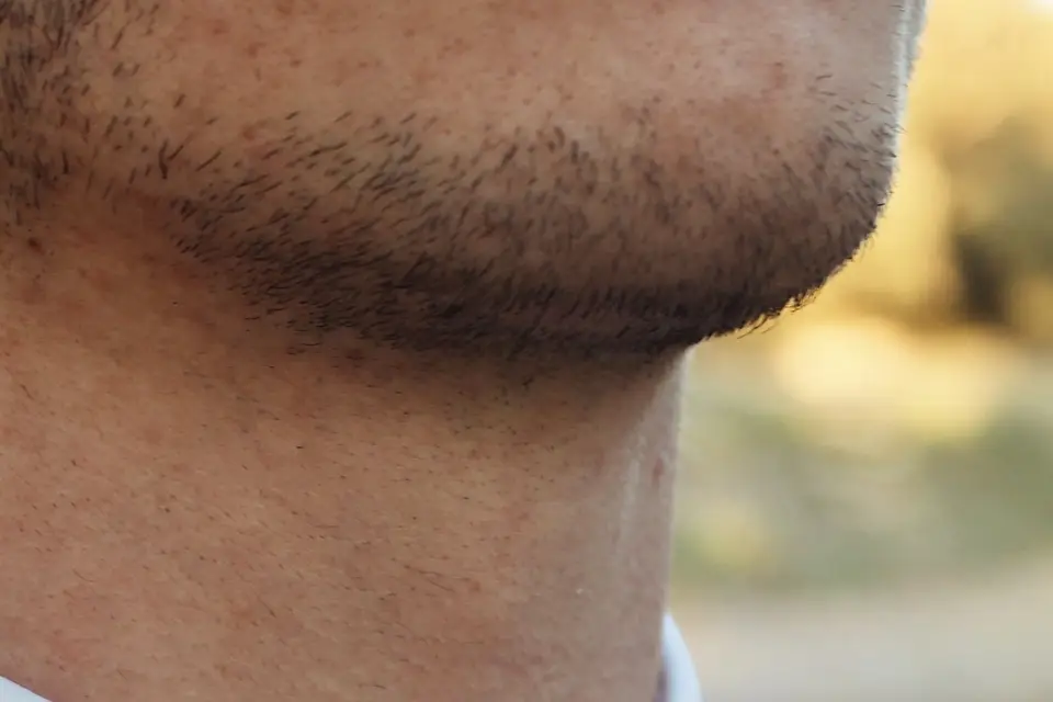 Clafoutis Créations — photo 1