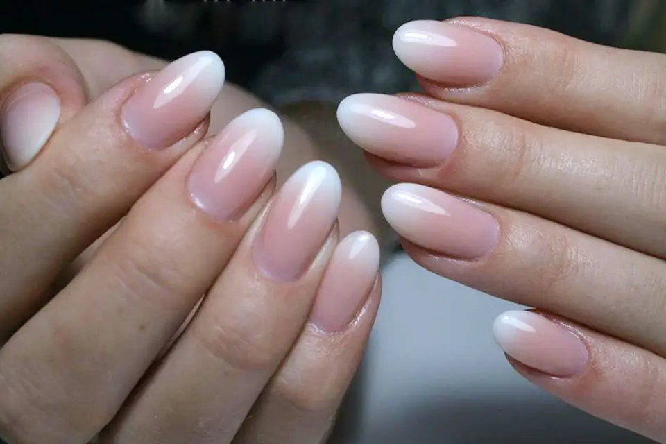 Eglantine — photo 2