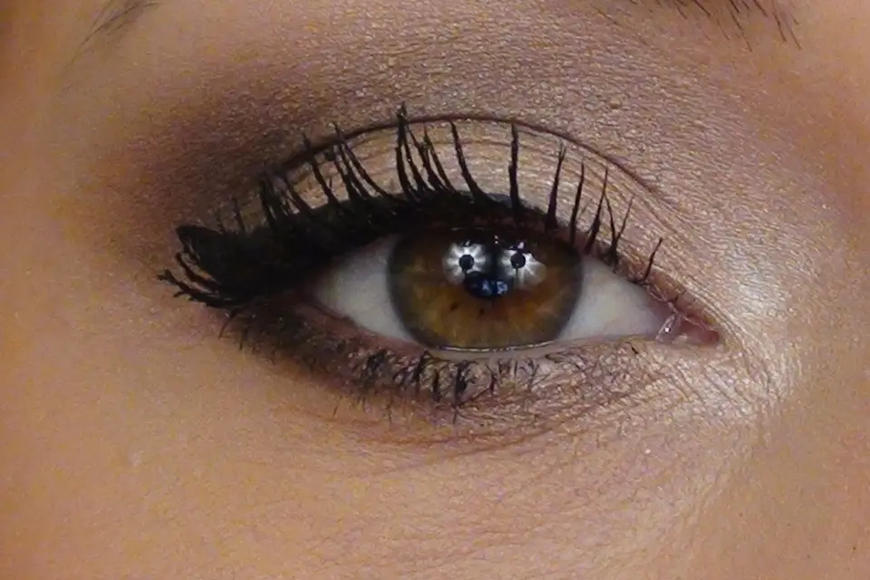 Eglantine — photo 1