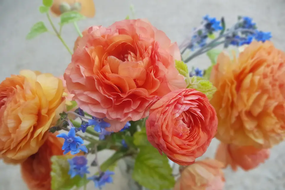 Ferme de Kerveurzin — photo 1