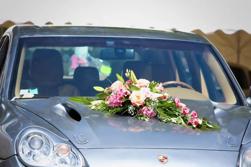 Festifs Event — photo 7