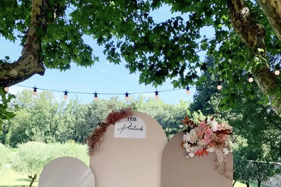 B&S Event — photo 7